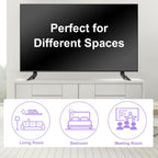 TV Stand Legs Only for Vizio TV Stand V505-H9 V505-G9, Not for Other TV Models, for Vizio 4K Ultra HD (2160P) HDR Smart LED TV Legs with Screws Set & Instructions
