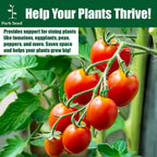 Park Seed Tomato Cages – 39" Tall Heavy-Duty Plant Supports for Tomatoes, Peppers, Cucumbers, and Climbing Vegetables, Foldable Metal Garden Trellis, Pack of 3