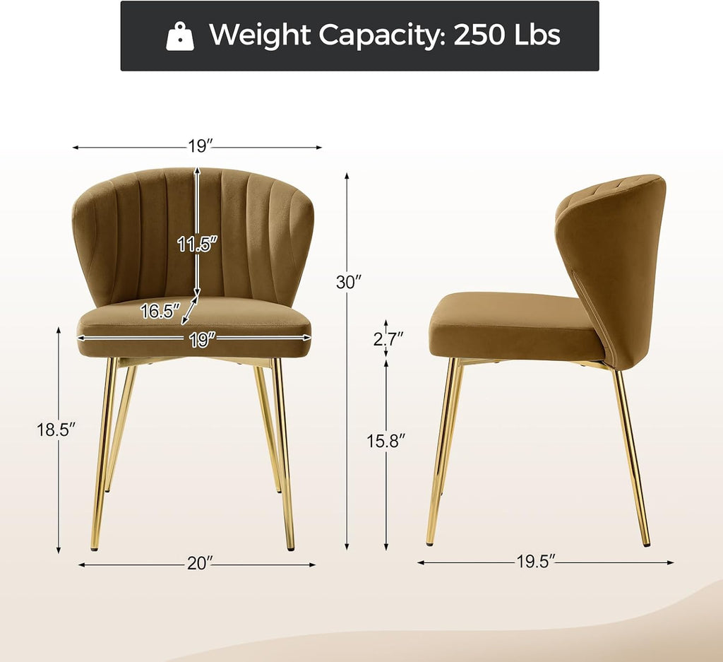 TINA'S HOME Velvet Dining Chairs Set of 2, Modern Upholstered Side Chair with Golden Legs, Small Cute Armless Accent Chair for Living Room, Kitchen, Bedroom, Beauty Room, Golden