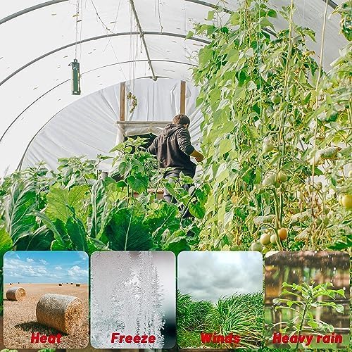 6 Mil Clear Greenhouse Plastic Sheeting,Transparent Plastic Film for Greenhouse, Resistant Polyethylene Film for Farm,Garden (9.8ftx24.6ft)…