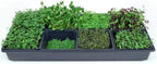 Handy Pantry Micro-Mat Minis Hydroponic Grow Pads - for Organic Production - Plant & Seed Germination: Wheatgrass, Microgreens, More - 4" x 4" to Fit 5" x 5" Greenhouse Plant Trays (96)