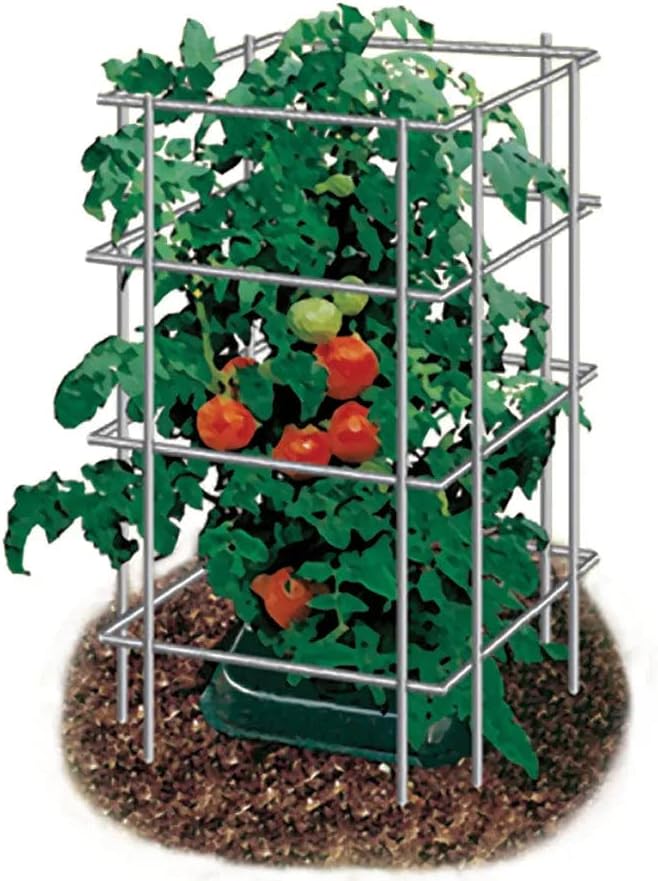 Park Seed Tomato Cages – 39" Tall Heavy-Duty Plant Supports for Tomatoes, Peppers, Cucumbers, and Climbing Vegetables, Foldable Metal Garden Trellis, Pack of 3