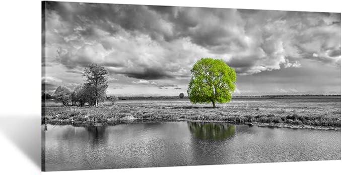 KREATIVE ARTS Canvas Wall Art Paintings Green Tree Landscape in Black and White Modern Giclee Framed Artwork Pictures for Living Room Decoration 40x20inch