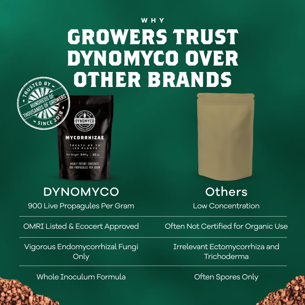 DYNOMYCO Granular Mycorrhizal Fungi Inoculant, 340g / 12oz – Boosts Root Growth, Yields & Nutrient Uptake – 900 Propagules/g, Concentrated Granules, & OMRI Listed – Biofertilizer for Plant Growth