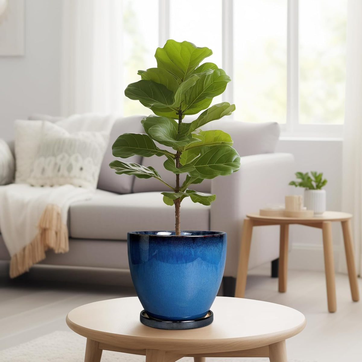 8 Inch Planter - Ceramic Plant Pot with Drainage Hole and Tray Round Planter Modern Flower Pot for Room Home Office Patio Porch Garden Decor Blue