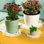 30 Packs 16" Extra-Large Clear Plant Saucers for Indoor Outdoor Use Heavy Duty Plastic Plant Trays for Planter Bulk Flower Pot Drip Trays to Catch Water, 4 to 20 Inch