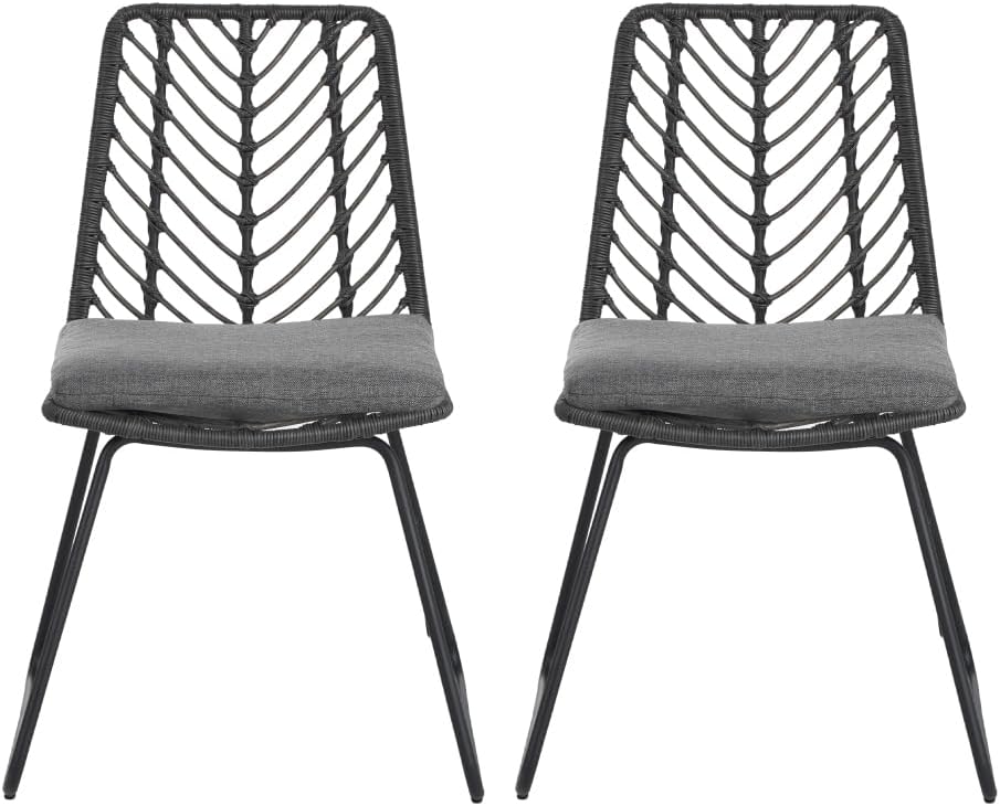 Saiveina Deja Chair,2PCS with 2 Cushions,Gray