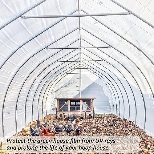6 Mil Clear Greenhouse Plastic Sheeting,Transparent Plastic Film for Greenhouse, Resistant Polyethylene Film for Farm,Garden (9.8ftx24.6ft)…