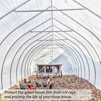 6 Mil Clear Greenhouse Plastic Sheeting,Transparent Plastic Film for Greenhouse, Resistant Polyethylene Film for Farm,Garden (9.8ftx24.6ft)…