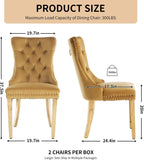 Velvet Dining Chairs Set of 4, Tufted Upholstered High Wingback Chairs with Nailhead Trim & Pull Ring, Golden Stainless Steel Legs for Dining Room, Sillas de Comedor, Gold