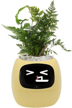 Smart Pet Planter, Smart Plant Pot, With Artificial Intelligence, Time Weather Display, And Multiple Expressions Animation,Lovely Plant Companion, For Desktop Decoration, Gifts,Plant-Free (Yellow)
