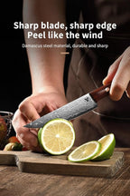 4.7" Paring Knife Damascus Steel Fruit Knives - 67-Layer Forged Kitchen Peeling Knife with Natural Solid Wood Handle Kitchen Utility Knives, 15° Double-Edged Blade, Ultra-Sharp & Durable