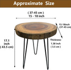 Live Edge End Table, About 15-18" W x 17" H Natural Edge Camphor Wood Stump Side Table for Living Room, Unique Desktop with Metal Hairpin Legs, Natural Wood Nightstand, Plant Stand