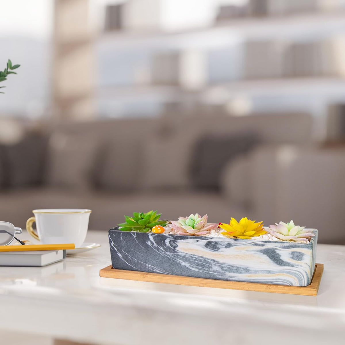 Succulent Pots - 12.1 Inch Large Succulent Pots with Drainage Tray, Window Sill Planter, Long Rectangle Ceramic Pots for Indoor Cactus/Succulent Plants Shallow Bonsai Window Box for Home Garden Decor