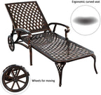 Saiveina Aluminium Cast Lounge Chair 1pcs Brown