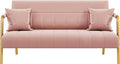 Yaheetech 56.5" Smal Sofa 2 Seater Couch with Gold-Tone Legs, Pink | Small Sofa Loveseat Velve 2 Seater Couch with Tufted Back Gold Metal Frame 2 Pillows for Office, Studio,Living Room