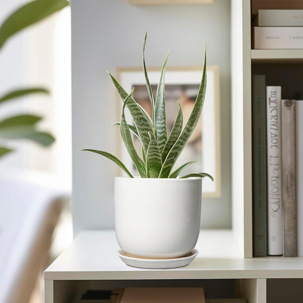 Indoor Plant Pot 5 Inch - Round Ceramic Planter for Succulent Plants with Drainage Hole and Saucer, Modern Home Decor, White