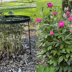 Goooxim Large Peony Cage & Plant Support Ring, 18.9" x 23.6" Round Metal Flower Stakes