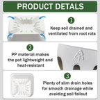 BTPLASTIK 80 Pcs Nursery Pots 4 Inch, Plastic Seed Starting Pot with Drainage Holes, Small Sturdy Seedling pots for Planting, Succulents, Transplanting, Cuttings (White)