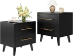 Ahomly Night Stand with 2 Drawers, Solid Wood Side Table for Bedroom, Black | Solid Wood Bedside Table with Two Drawers, Metal Handle, Compact Storage for Bedrooms and Sofa Sides