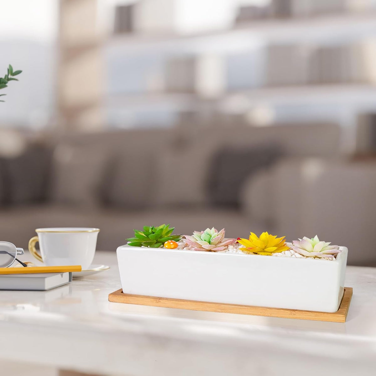 Succulent Pots - 12.1 Inch Large Succulent Pots with Drainage Tray, Window Sill Planter, Long Rectangle Ceramic Pots for Indoor Cactus/Succulent Plants Shallow Bonsai Window Box for Home Garden Decor