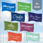 Holiday Windsocks Set of 6