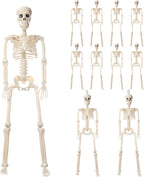 11 Pcs Halloween Skeleton Decorations Realistic Full Body Movable Joints Halloween Plastic Skeleton for Cemetery, Yard, Indoor and Outdoor Party Decoration