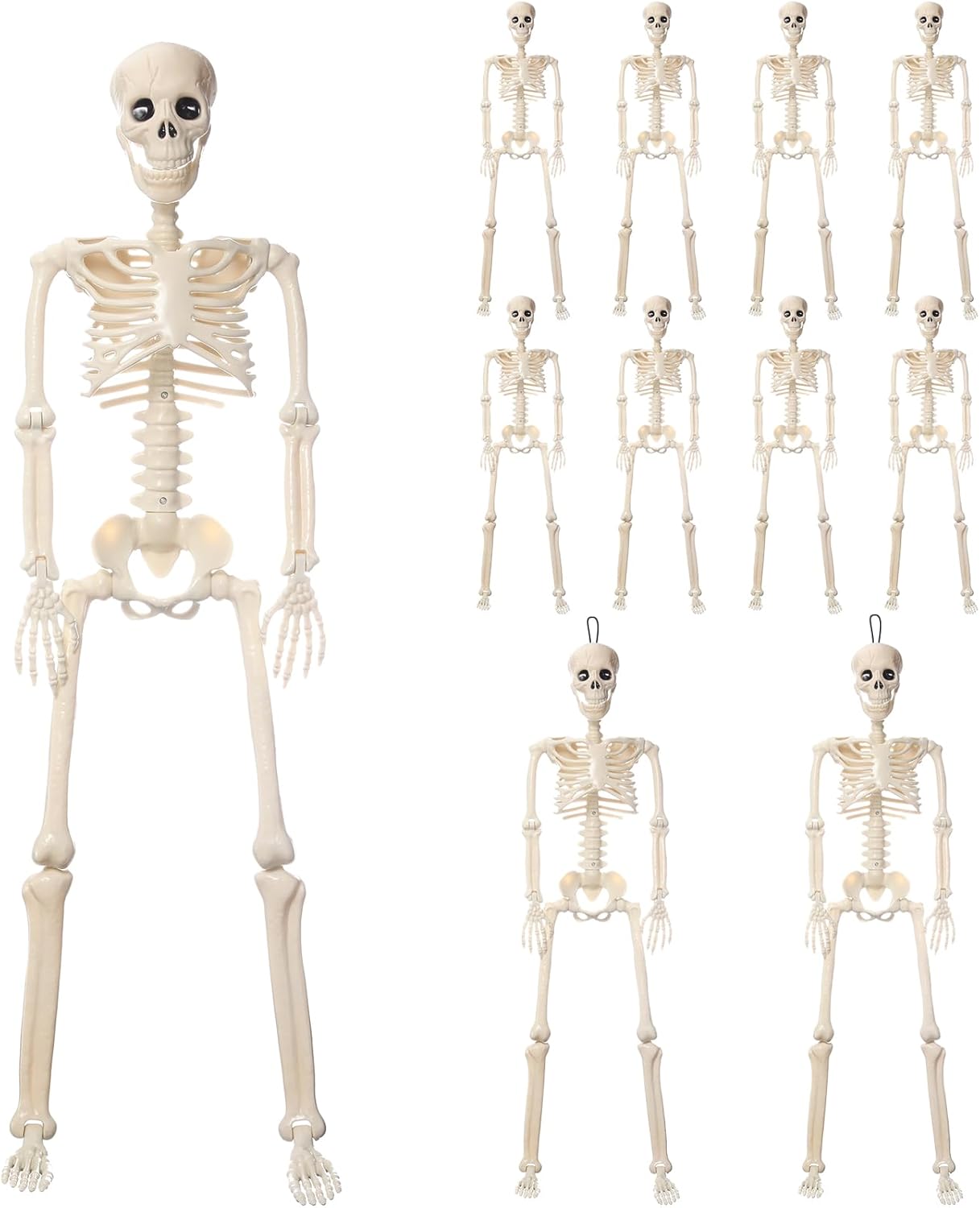 11 Pcs Halloween Skeleton Decorations Realistic Full Body Movable Joints Halloween Plastic Skeleton for Cemetery, Yard, Indoor and Outdoor Party Decoration