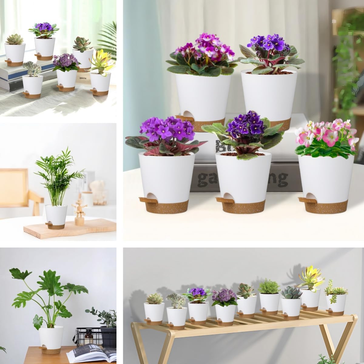 5 Pack 5 inch Self-Watering Pots, African Violets Planter with Drainage Holes and Reservoir, White Brown Plastic Planter for Indoor Outdoor Plants Flowers and Houseplants White Brown, 5 inch 5 pcs