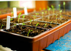 Propagation Mats Original from Manufacturer *Any (1, 11" x 24") RHS Propagation Mat, Reliable Water-Resistant Seedling Warming Mat, Heat Pad for Seed Germination