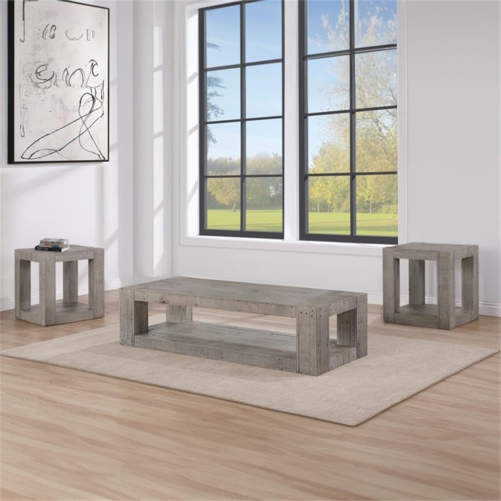 BOWERY HILL Contemporary Rectangular End Table, 22" Width x 24" Height, Reclaimed Solid Pine, Distressed Gray Finish, Bottom Shelf, Rustic Design for Living Room or Bedroom