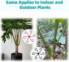 12 PCS Plant Stem Support, Plant Stakes for indoor Plants Plant Clips for Climbing Plants, Plastic Monstera Plant Support Accessories for Potted indoor Plant in Various Growth Stage(4 Sizes, 3 Colors)