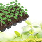 240 Cells -24 Grow Trays with Humidity Dome and Cell Insert - Mini Propagator for Seed Starting and Growing Healthy Plants Durable Reusable and Recyclable 10 Pack