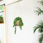 Artificial Succulents Hanging Plants Fake String of Pearls Trailing Plant in Cute Smiley Face Pot for Home Decor, Indoor Outdoor Wall Window Hanging Decorations (Includes Hanging Hook)