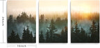 Forest Bathed in Sunlight Canvas Print Picture Painting Wall Art for Bedroom Living Room Framed 3 Piece Artwork Wall Decor for Bathroom Modern Room Plants Wall Decorations Size 16x24x3 Ready to Hang