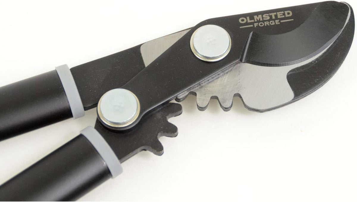 Geared Bypass Lopper