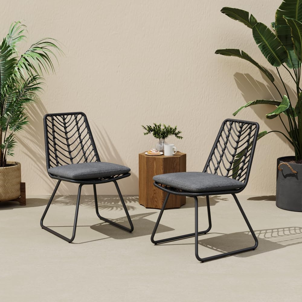 Saiveina Deja Chair,2PCS with 2 Cushions,Gray