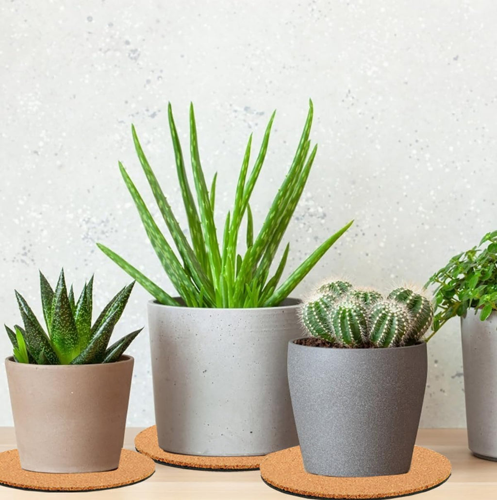 10 Pieces 4 Sizes Cork Plant Coasters, 4/6/8/10 Inch Cork Plant Mats, Plant Coasters for House Plants Indoors (Nude & Black)