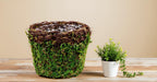 SuperMoss (55152 Vineyard Decorative Moss Basket Ideal for Home Decor, Office Decor, and Indoor Plants, Medium Size: 5.5″ x 4.7″, Fresh Green