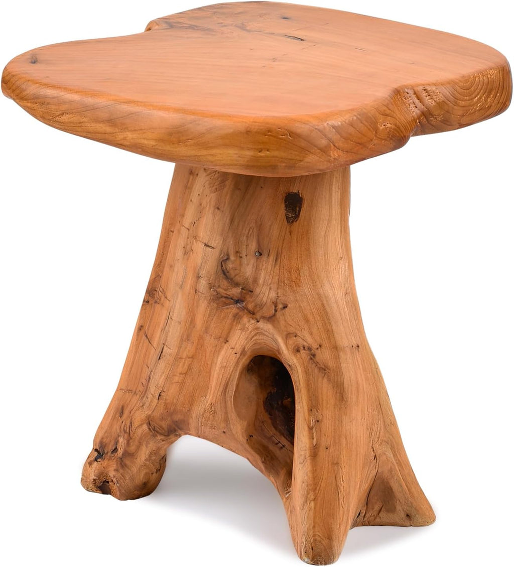 Small Side Table, Freeform Live Edge Wood Stool, Unique Design Natural Plant Stand for Patio, Garden, Yard, Living Room, Bedroom