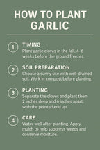 Garlic Bulbs for Seed - Fresh California SOFTNECK Garlic for Planting - Grow Your Own Garlic (5 Bulbs)