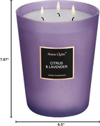 HomeLights Scented Candles - Large Jar Aromatherapy, Natural Soy Wax, 130 Hour Long Burning, Citrus & Lavender