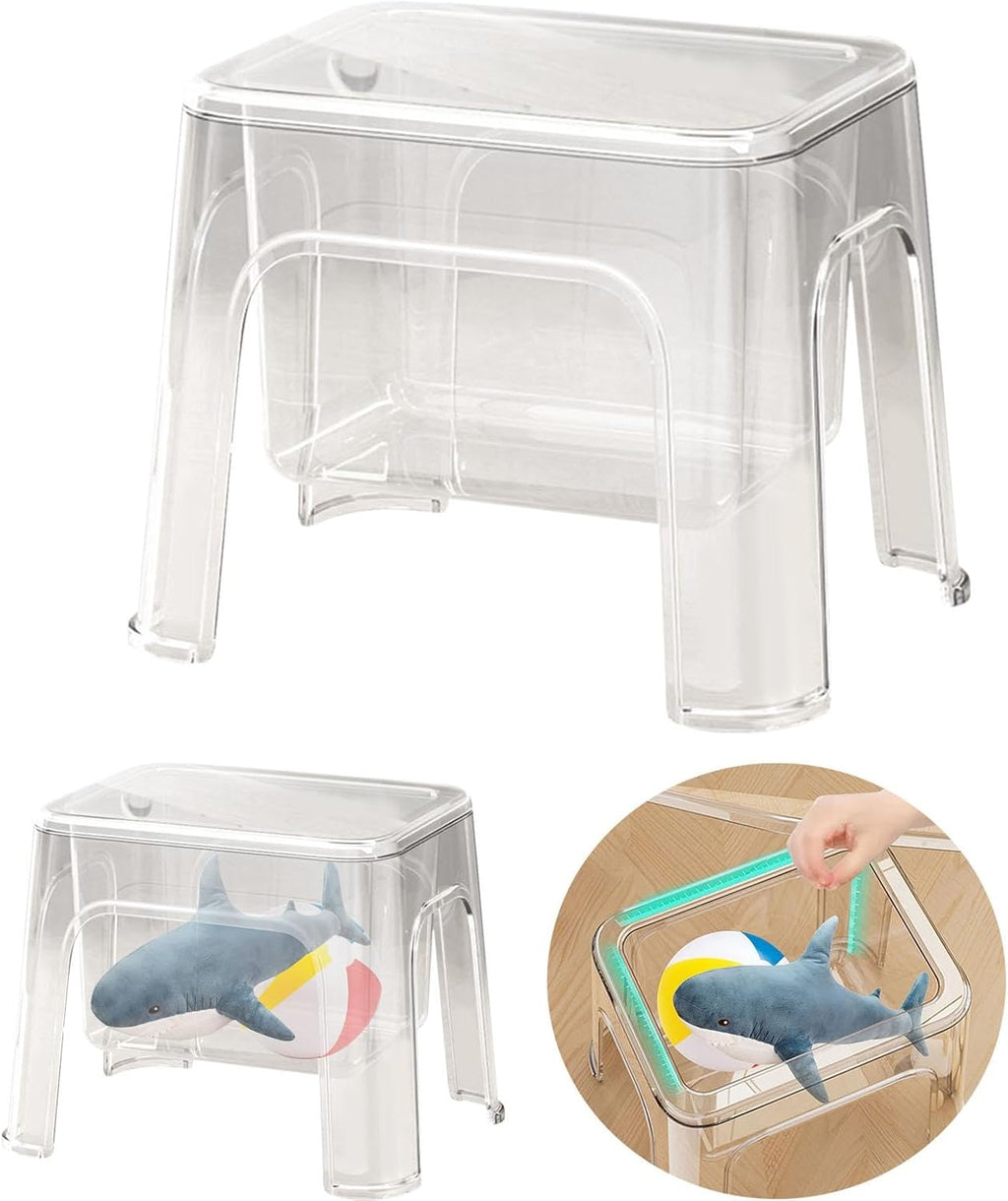 Step Stool Footstool Storage Ottoman Shoe Changing Stool for Laundry Household Bedroom, Clear