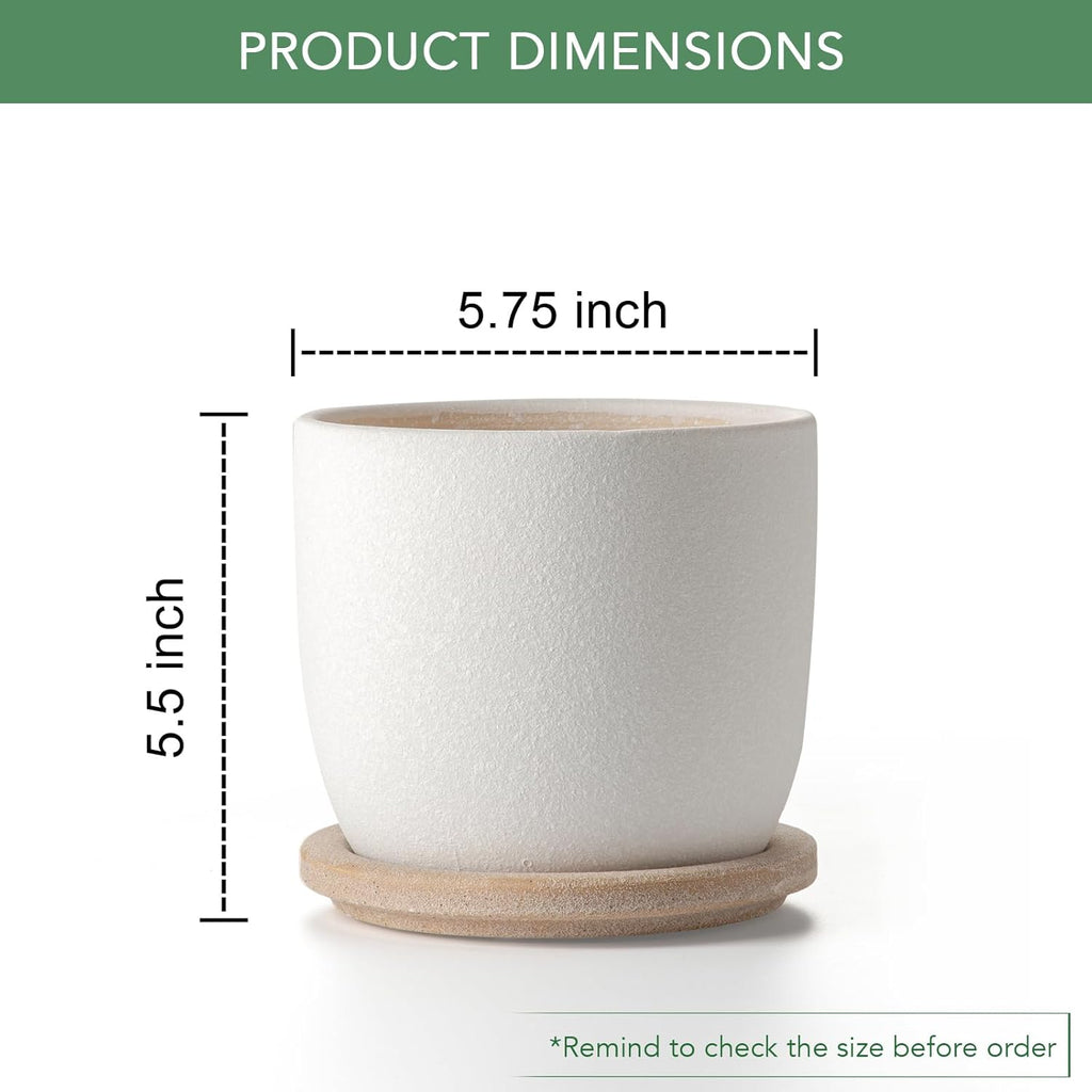 Ceramic Flower Pots Indoor-Outdoor: 5.75 Inch Planters with Drainage Holes & Saucer - Modern Decorative Plant Pots Ceramic for Home Gardeners (White)