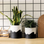 Nihow Ceramic Plant Pot: 6 Inch Planter with Drainage Hole & Saucer for Indoor & Outdoor Plants - Cylinder Round Flower Pot for Succulent/Herbs/Violets - White & Wave Black