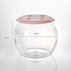 Transparent Storage Container Seat Combo, Kid-Safe Easy Handle for Movement Clear Multifunctional Storage Bin Stool