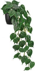 Fake Ivy Plant with Pot Artificial Pothos Leaves Featuring a White Frosted Finish for Home Shelf Decor Indoor Silk Artificial Realistic Plant Large