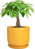 Indoor Plant Pot - 7 Inch Modern Round Ceramic Planter for Indoor Outdoor Plants with Drainage Hole and Saucer, Home Garden Office House Decor, Yellow