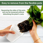 BTPLASTIK 120 Pcs Nursery Pots 3.5 Inch, Plastic Seed Starting Pot with Drainage Holes, Small Sturdy Seedling pots for Planting, Cuttings (White)