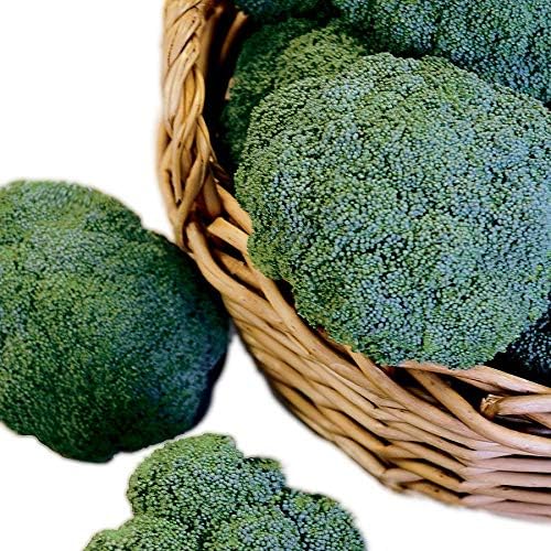 Park Seed Variety of Broccoli Plant Seeds, Easy to Grow, Perfect for Garden, Castle Dome Hybrid Broccoli Seeds, Pack of 100 Seeds
